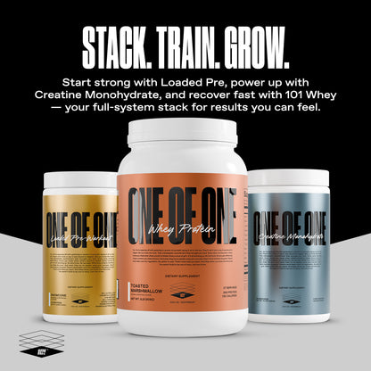 ONE OF ONE Whey Protein